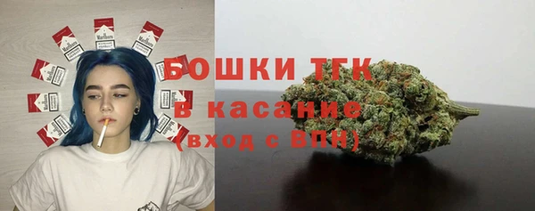 ECSTASY Галич