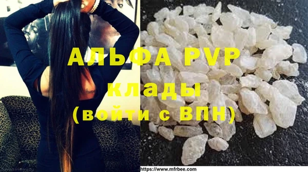 прущие грибы Сатка