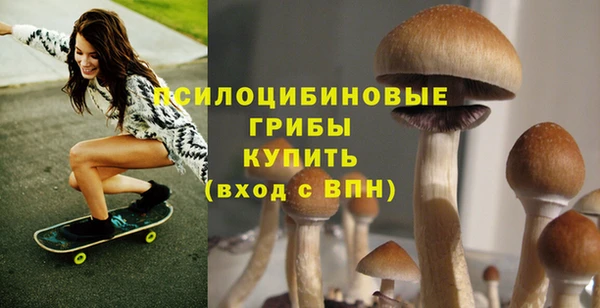 скорость Гвардейск