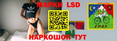 spice Кулебаки