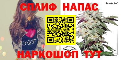 spice Кулебаки