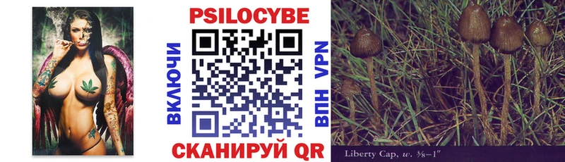 blacksprut ссылки  Каменск-Шахтинский  Галлюциногенные грибы Cubensis 