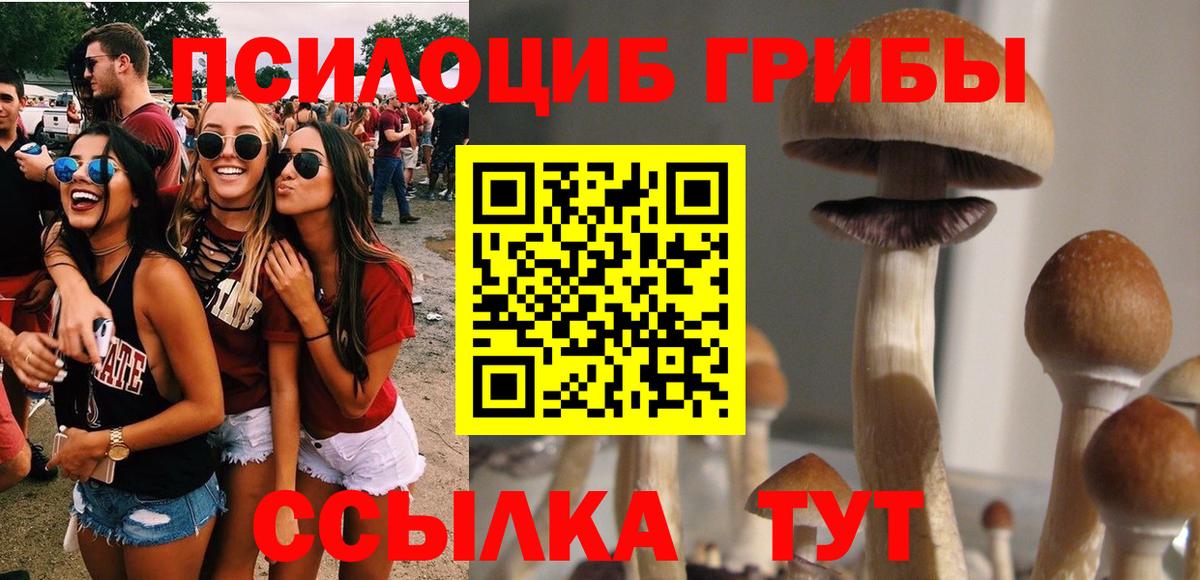 Галлюциногенные грибы мухоморы Каменск-Шахтинский