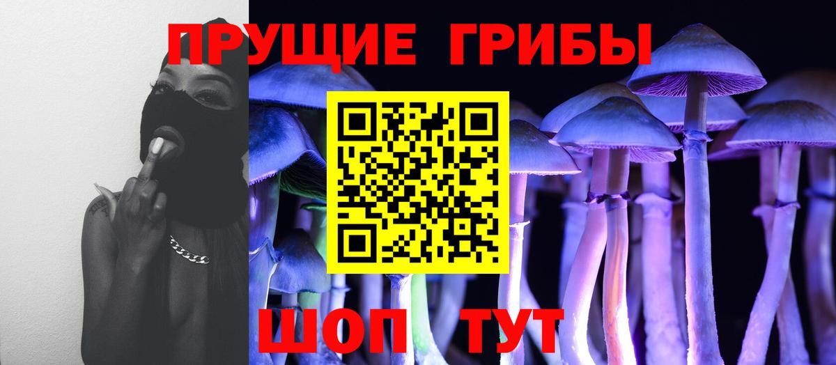 Каменск-Шахтинский  Псилоцибиновые грибы мицелий  Галлюциногенные грибы Psilocybe  Вход с VPN 